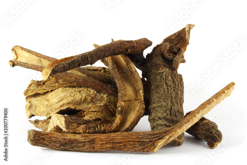 Dry root of yellow gentian (Gentiana lutea L.) isolated on white.