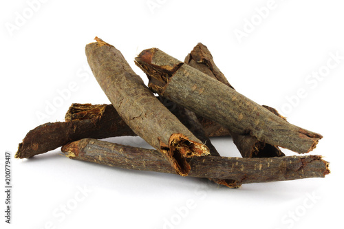 Dry bark of the buckthorn (Rhamnus alpina subsp. fallax) isolated on white.