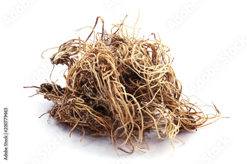 Foto Dried root of common cowslip (Primula veris) isolated on white.