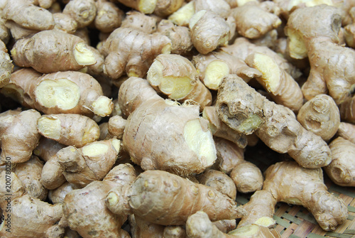 close up on ginger in pile in harvest season
