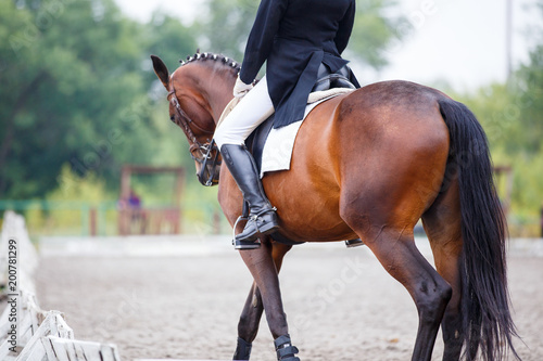 Sportswoman in shadbelly riding horse on dressage equestrian competition