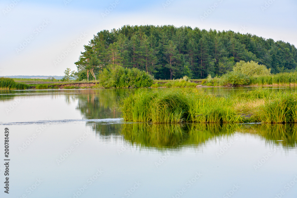 Lake summer view with reflection of grass and trees on water surface (Ulyanovsk, Russia).