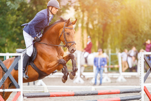 Młody jeździec mężczyzna skacze na koniu nad przeszkodą na wystawie skacze rywalizację