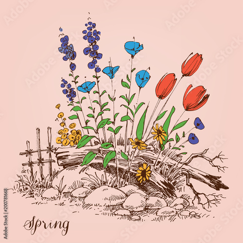 Garden spring flowers. Seasonal floral arrangement or flower bed
