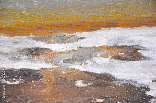 Rust colored bacteria and calcium at the edge of a geothermal pool in Yellowstone.