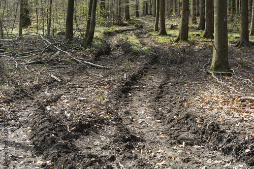 Zerstörung des Waldbodens durch den Einsatz von Grossmaschinen bei der Holzernte