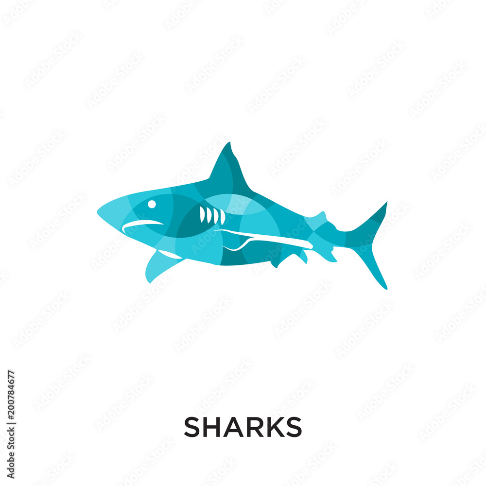 sharks logo isolated on white background for your web, mobile and app design
