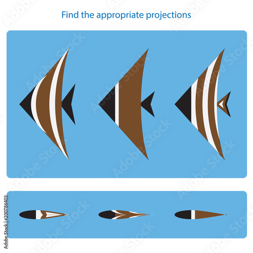 Logical task. Find the appropriate projections