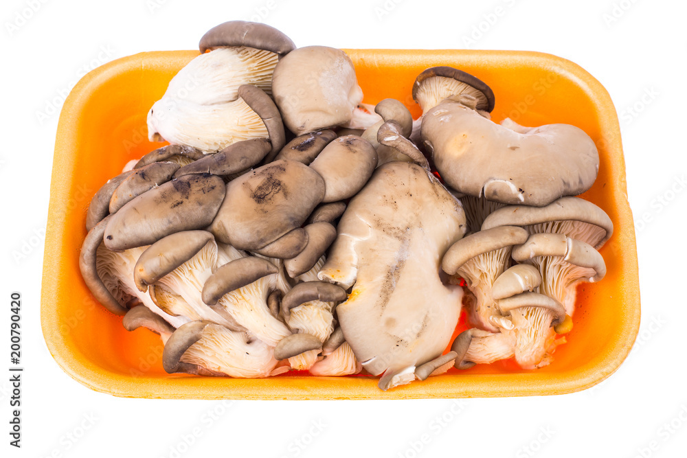 Fresh mushrooms oyster mushrooms in plastic container Fresh mushrooms oyster mushrooms in plastic container
