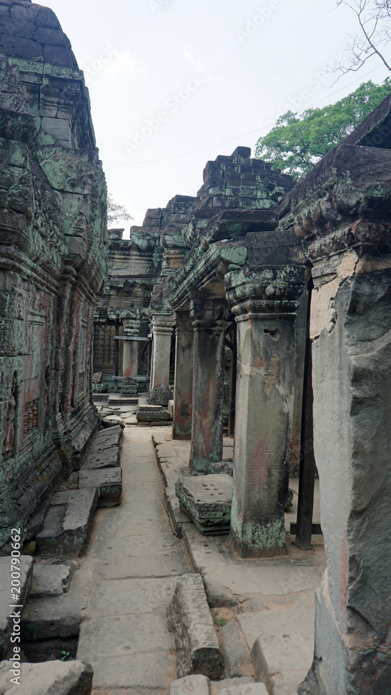 ankor wat temple complex