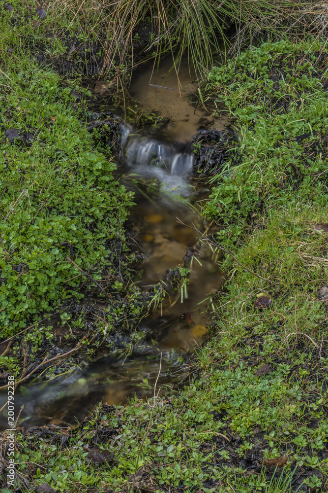 Small spring creek near Teplicka village Small spring creek near Teplicka village