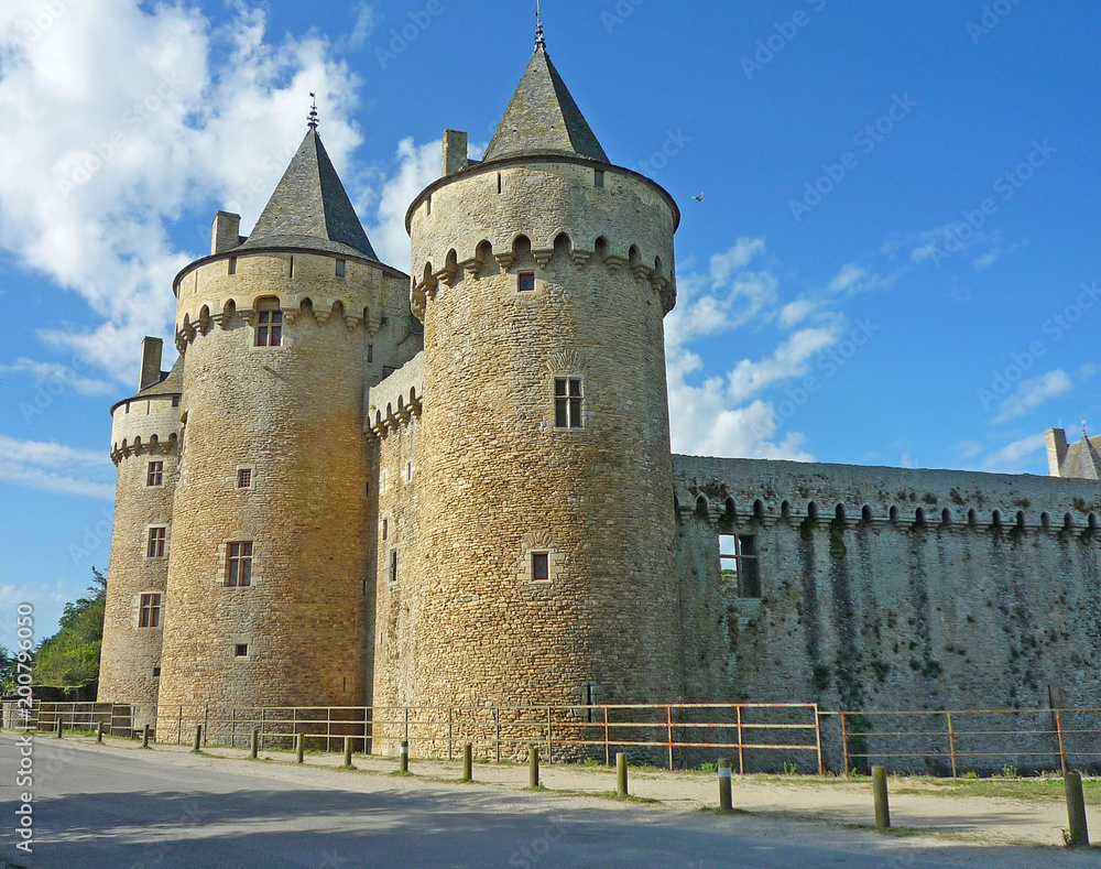 Bretagne, château de Suscinio