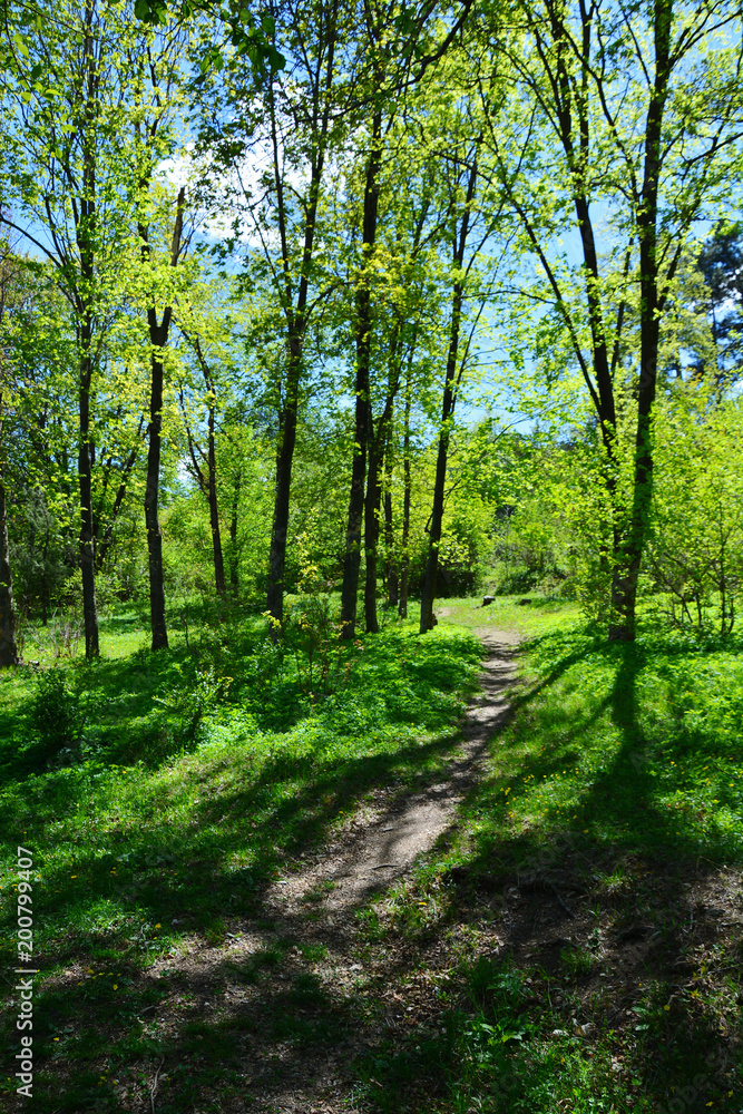 Beautiful spring landscape Beautiful spring landscape