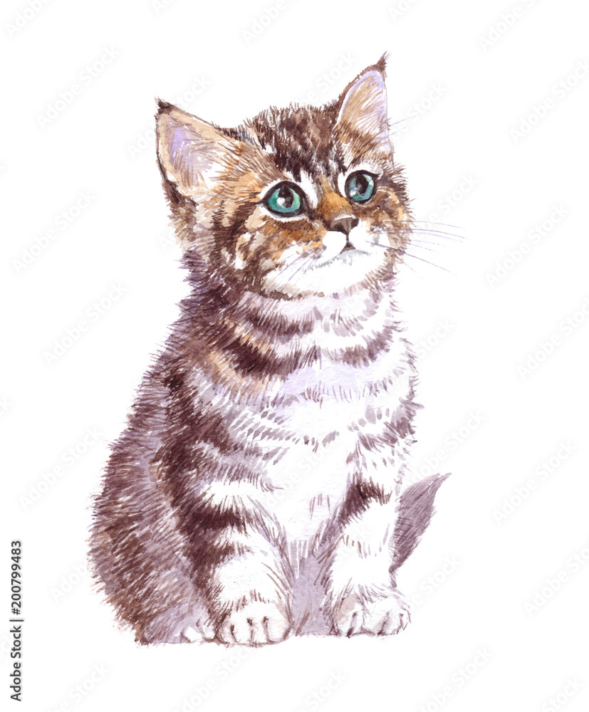 Watercolor animal kitten baby isolated on white background Stock ...