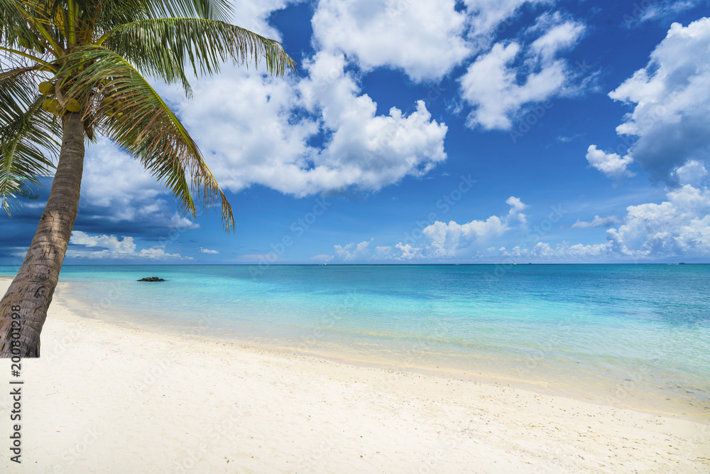 Obraz premium Tropical scenery with amazing beaches of Mauritius island
