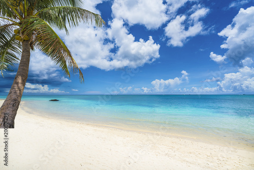 Tropical scenery with amazing beaches of Mauritius island