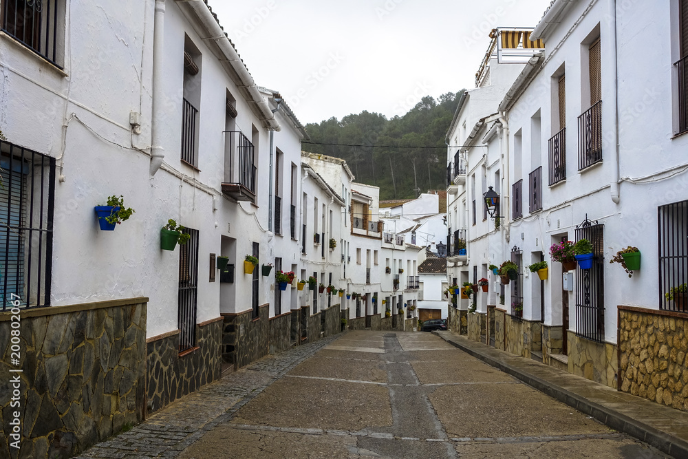 white houses streets with flowers in the mountains of Spain, Andalusia
