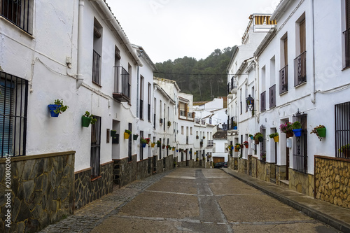 Fototapeta Naklejka Na Ścianę i Meble -  white houses streets with flowers in the mountains of Spain, Andalusia