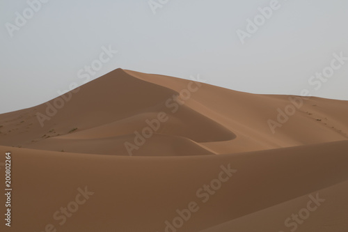 dunes of the Sahara desert