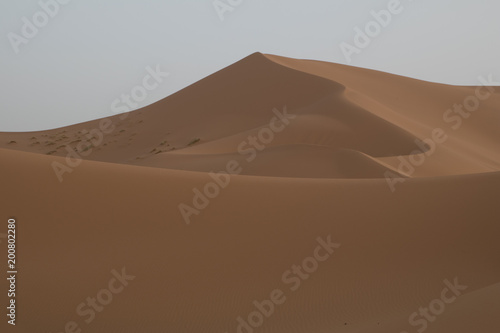 dunes of the Sahara desert