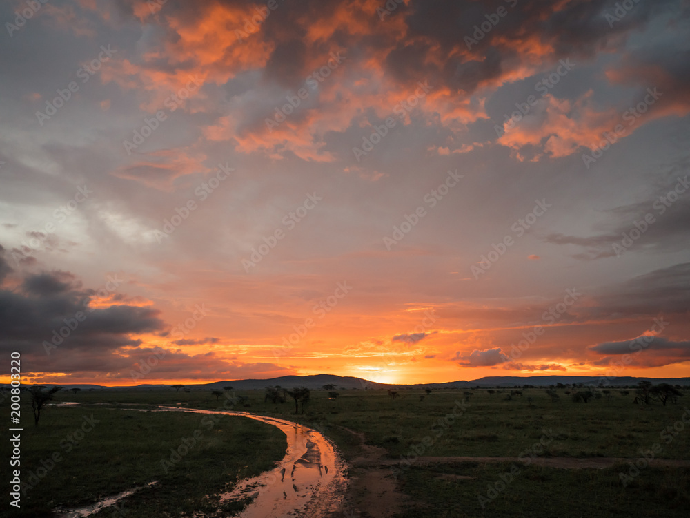 Sun down savanna Africa Serengeti orange tint