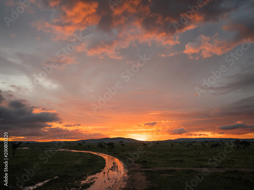 Foto Sun down savanna Africa Serengeti orange tint