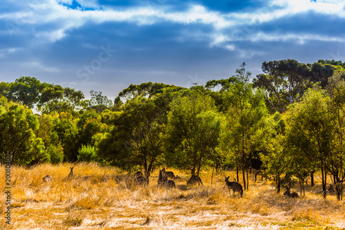 Australische Landschaft