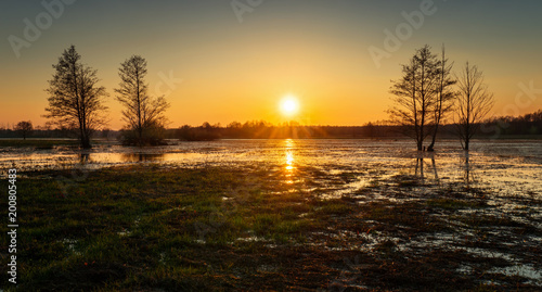 Bug flooding panorama © swen_stroop