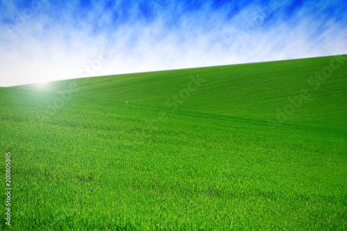 field with green grass and sky with clouds. Clean  idyllic  beautiful summer landscape with sun.