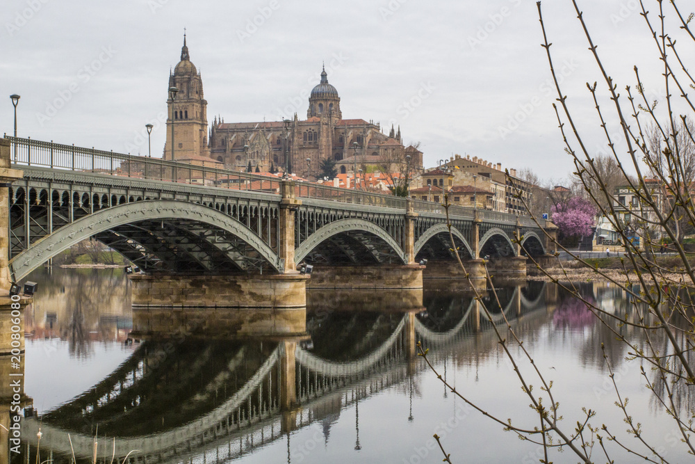 monuments in the city of Salamanca cathedral and bridge over the river
