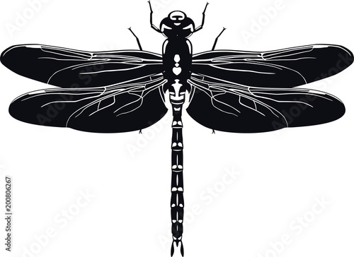 Black silhouette of dragonfly on white background. Vector illustration