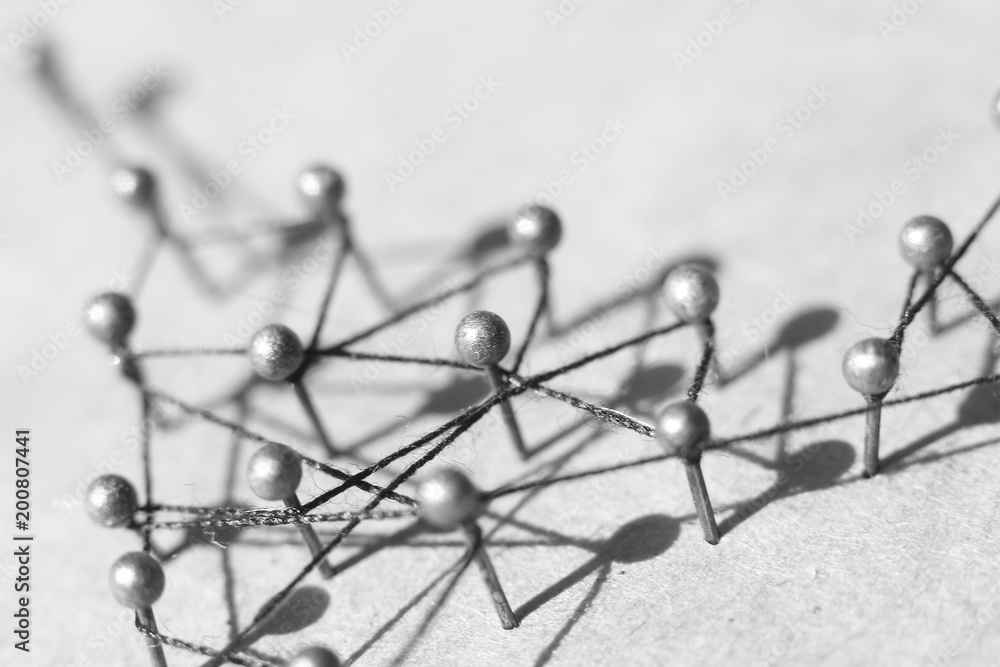 Fototapeta premium Concept of a social network with leader