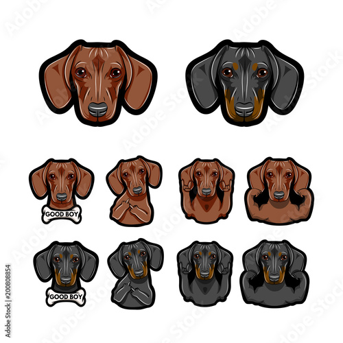 Dachshund dos. Bone, Rock gesture, Muscles, Middle finder. Dog face, head. Vector.