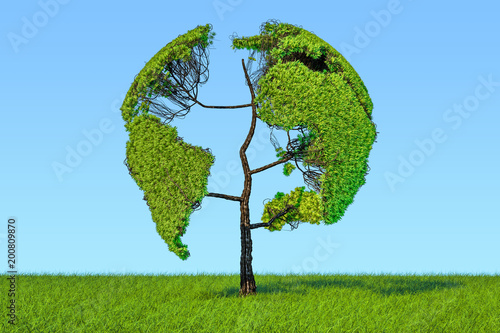 Tree in the shape of Earth Globe on the green grass against blue sky, 3D rendering