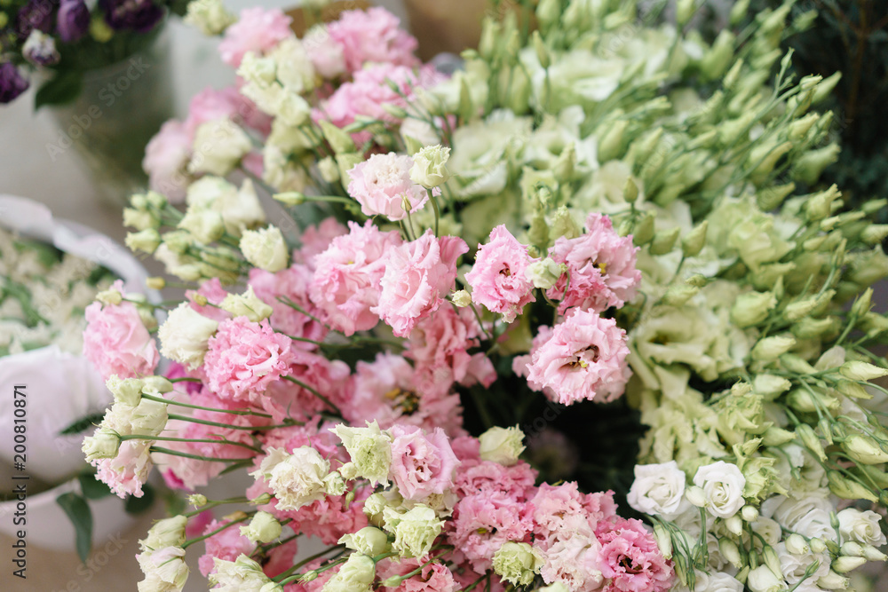 Bouquet of Beautiful pink, white, green color eustoma in vase . Spring flowers in the cold room of the flower shop. Bouquet of Beautiful pink, white, green color eustoma in vase . Spring flowers in the cold room of the flower shop.