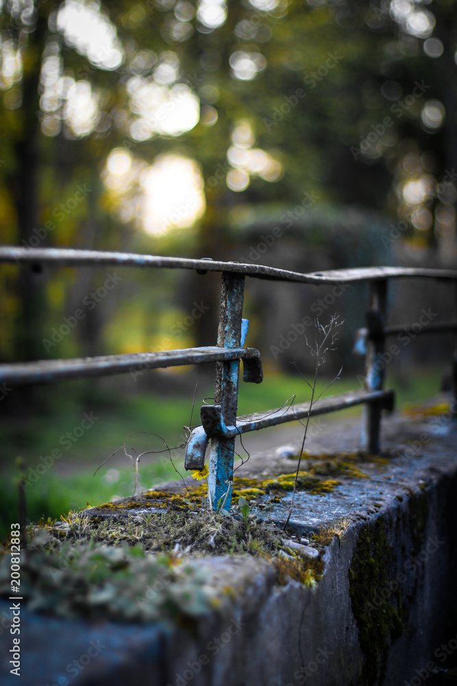 Naklejka premium nature fights back