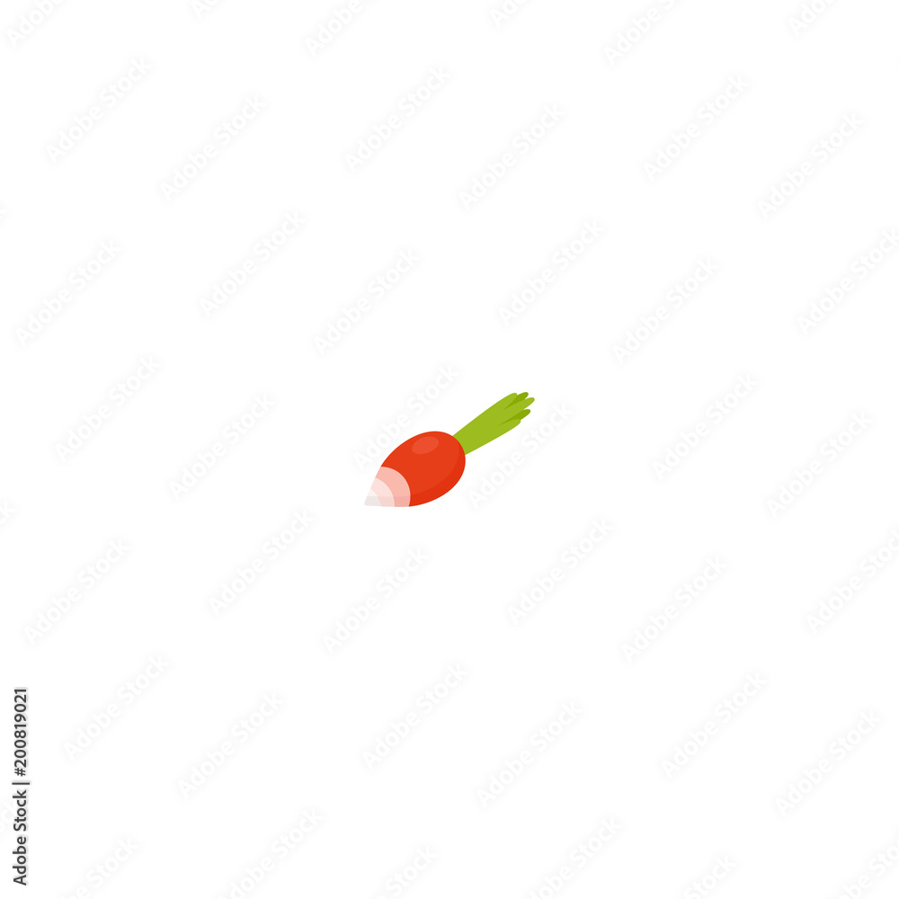 Tasty organic radish isolated on white background Tasty organic radish isolated on white background
