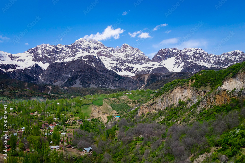 View over the town and walnut forests of Arslanbob village in southern Kyrgyzstan, with mountains in the background