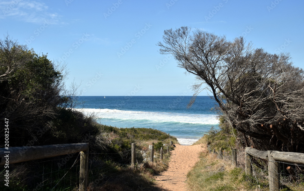 Sea beach wooden walkway path entrance. Sandy ocean beach entrance.Sea beach wooden walkway path entrance. Sandy ocean beach entrance. Sea beach wooden walkway path entrance. Sandy ocean beach entrance.Sea beach wooden walkway path entrance. Sandy ocean beach entrance.