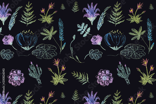 Hand-drawn floral seamless pattern. Illustration of colored chalk on a black board.