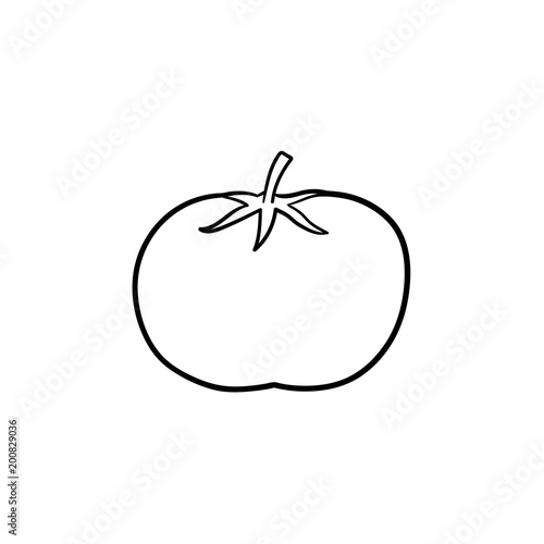 Organic tomato hand drawn outline doodle icon. Healthy vegetable - raw tomato vector sketch illustration for print, web, mobile and infographics isolated on white background.