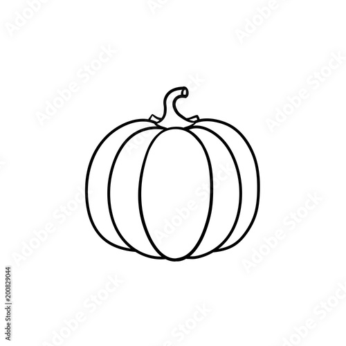 Pumpkin vector hand drawn outline doodle icon. Healthy vegetable - pumpkin vector sketch illustration for print, web, mobile and infographics isolated on white background.