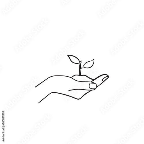 Human hand holding handful of soil with young sprout of plant hand drawn vector outline doodle icon. Seedling sketch illustration for print, web, mobile and infographics isolated on white background.