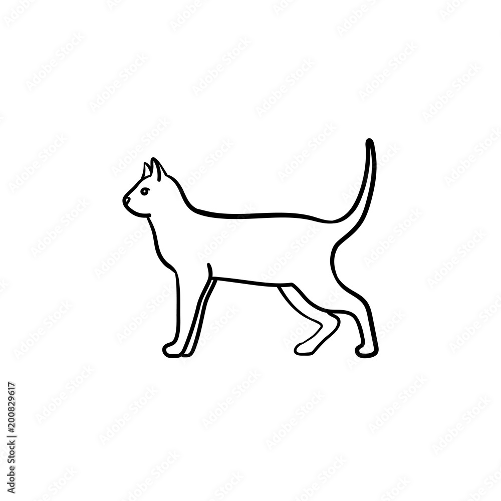 Cat hand drawn outline doodle icon. Domestic animal - cat vector sketch illustration for print, web, mobile and infographics isolated on white background.
