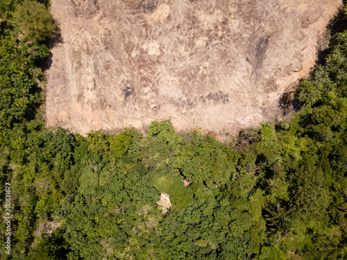 Rainforest Deforestation - Drone view