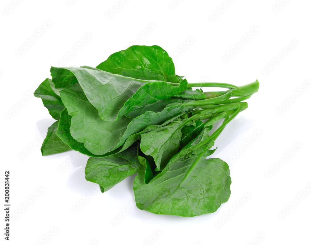 chinese broccoli on white background chinese broccoli on white background