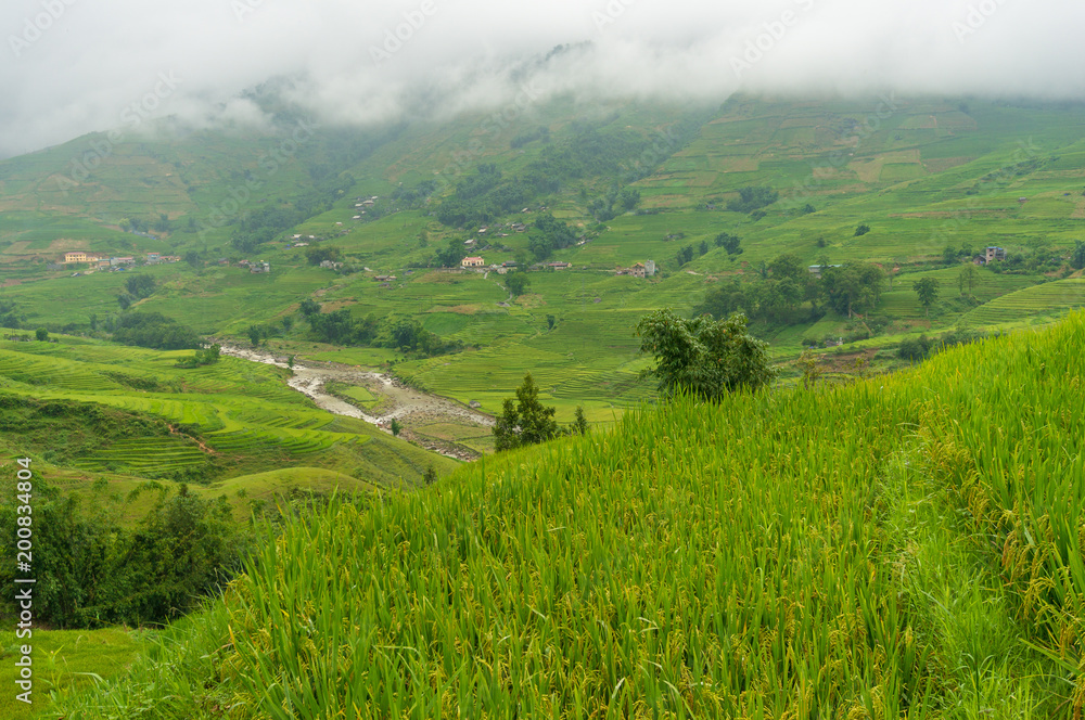 View from the top on mountain valley with rice terraces