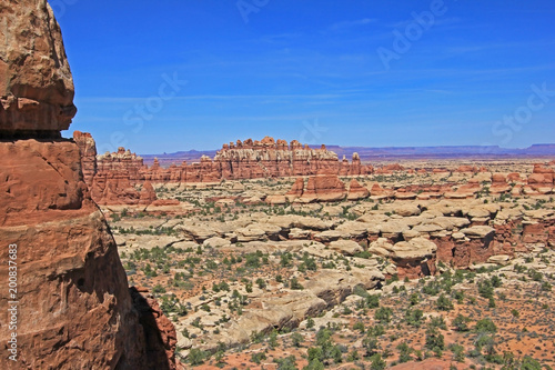 Needles District in Canyonlands National Park, Utah, USA photo