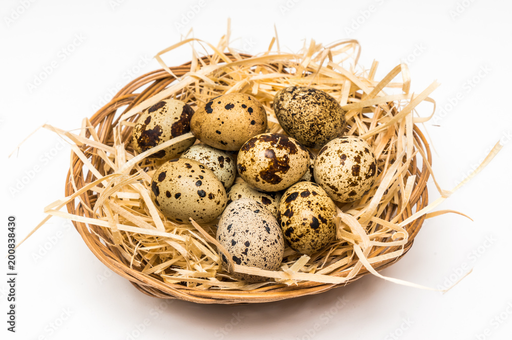Obraz premium Quail eggs in nest isolated on white