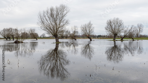 Hochwasser an der Havel in Brandenburg